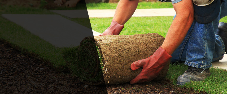 Haleyville Landscapers